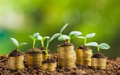 Incentivi fiscali con gli Ecobonus: efficienza energetica per risparmiare fino al 50%