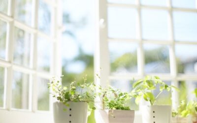 Le finestre e la qualità dell’aria: come sceglierle per prevenire allergie, asma e muffe