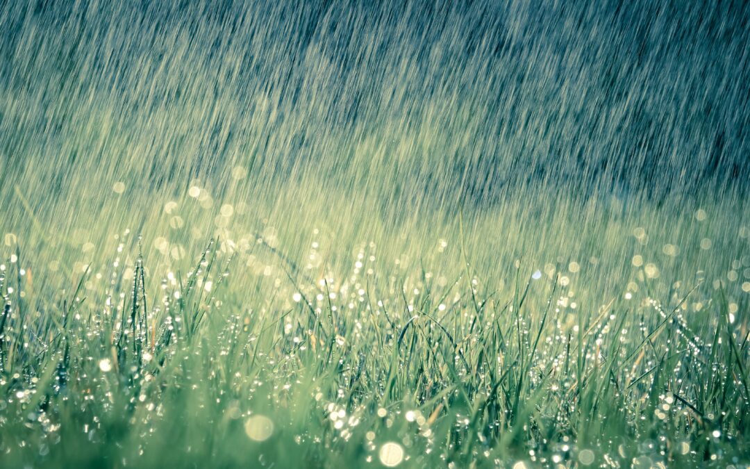 Inverno e Climate Change… alla finestra!